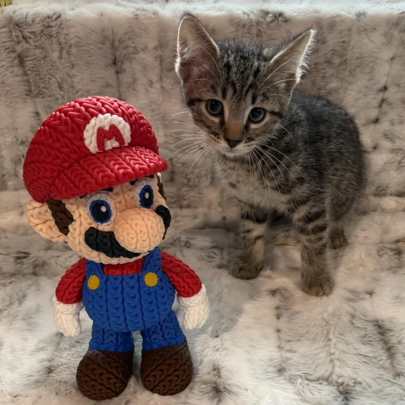 Mario thumbnail 2