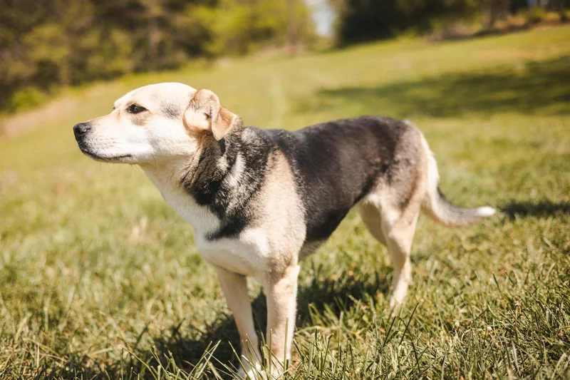 Lilibelle thumbnail 2