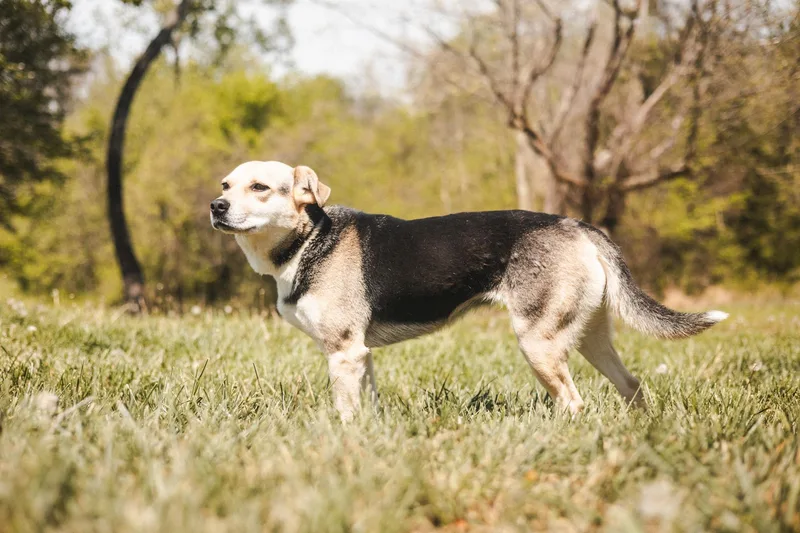 Lilibelle thumbnail 3