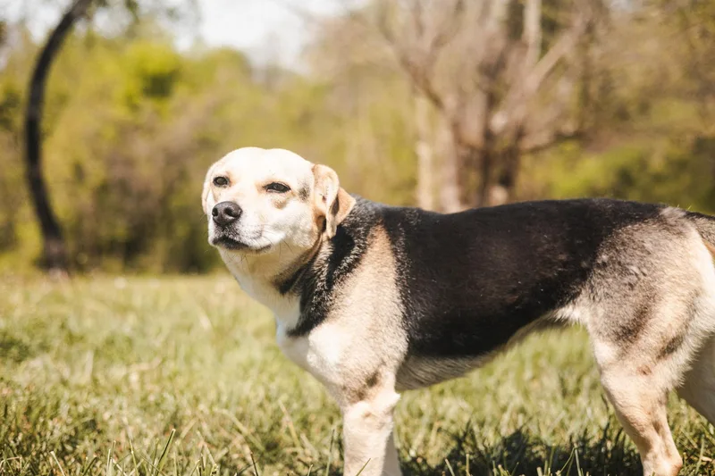 Lilibelle thumbnail 4