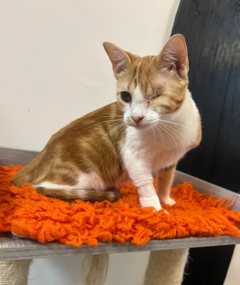 Penelope @ Fat Cat thumbnail 2