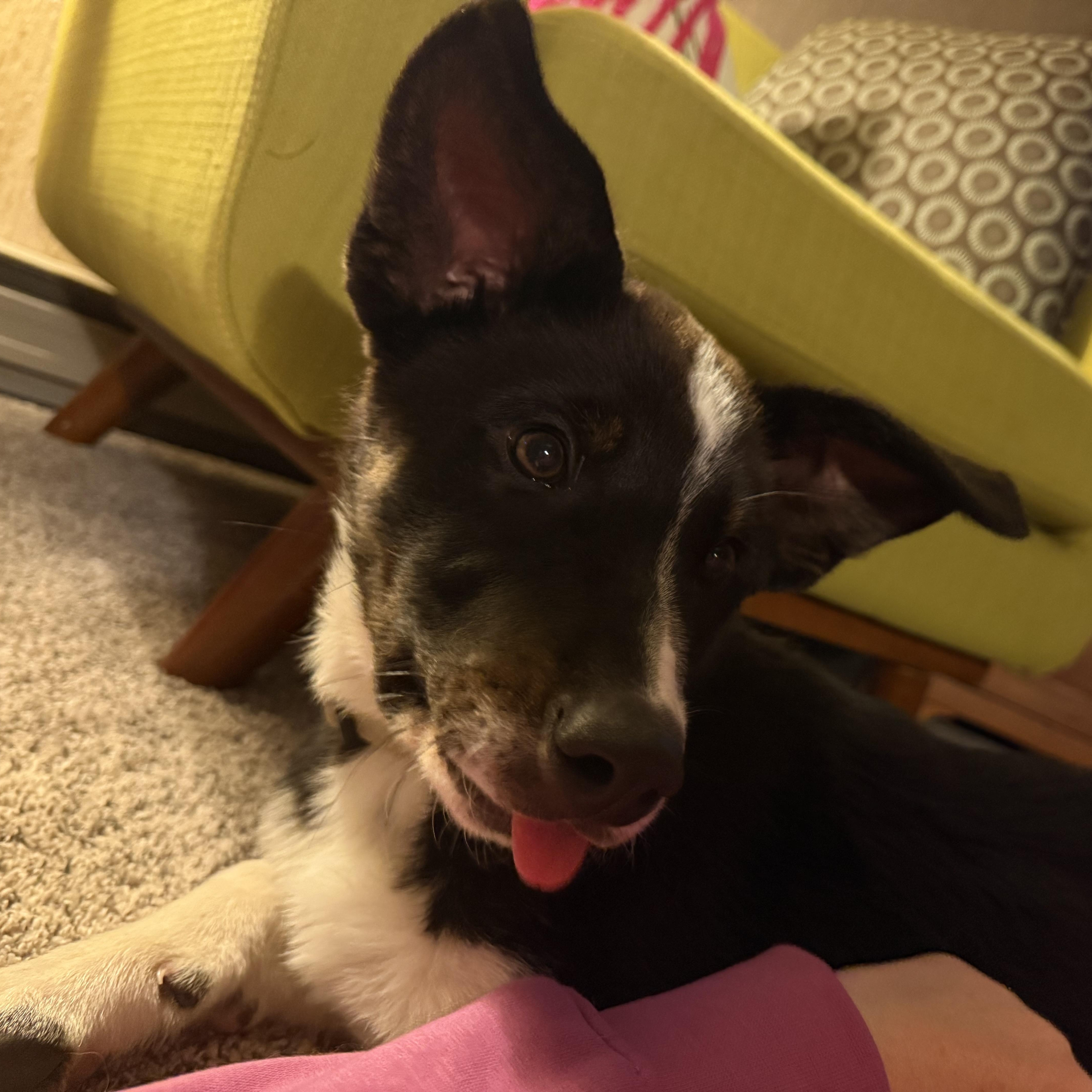 Roux