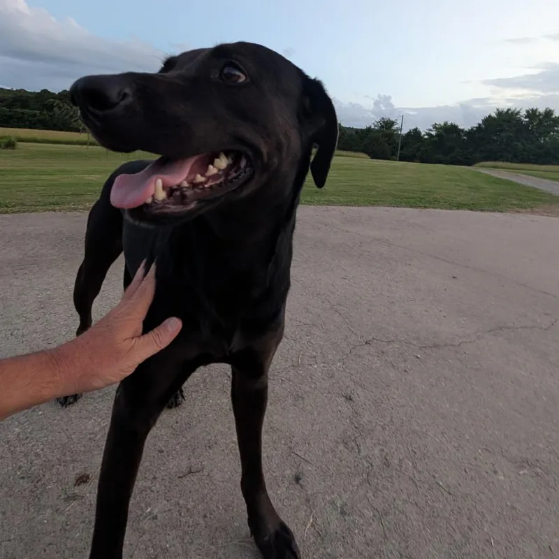 Missy thumbnail 2