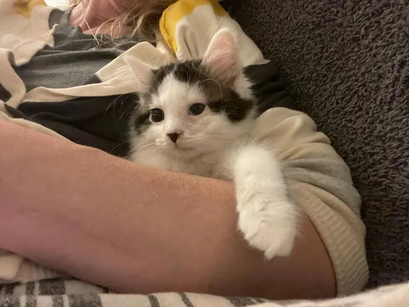 Mochi thumbnail 2