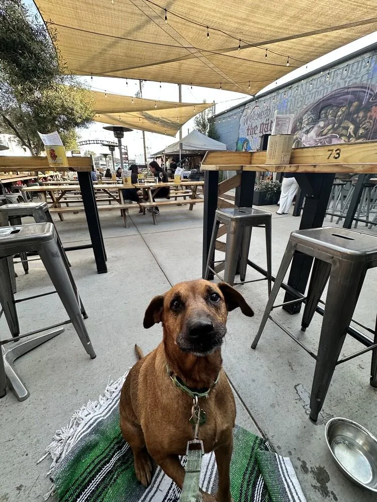 Miss Mango thumbnail 2