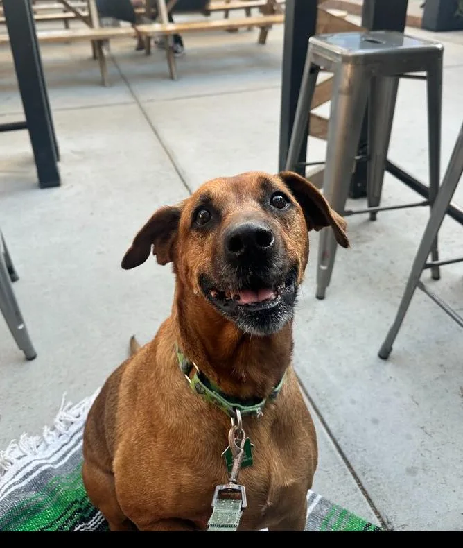 Miss Mango thumbnail 4