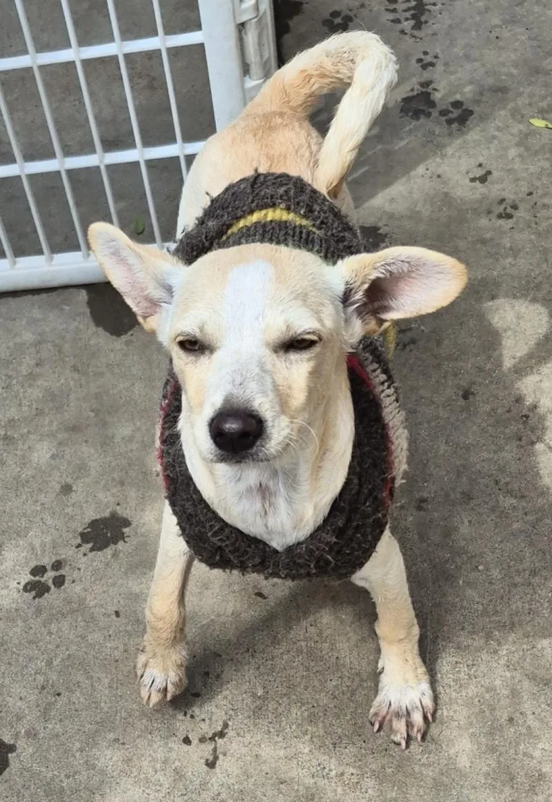 Sweet Gina! thumbnail 2