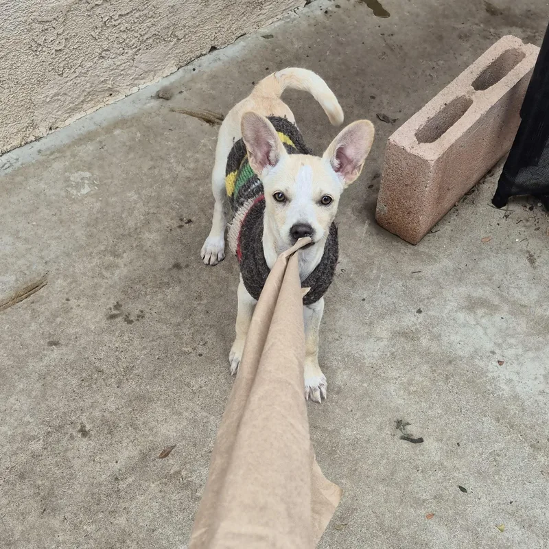 Sweet Gina! thumbnail 3