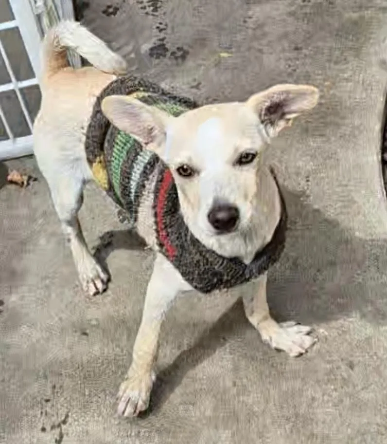 Sweet Gina! thumbnail 4