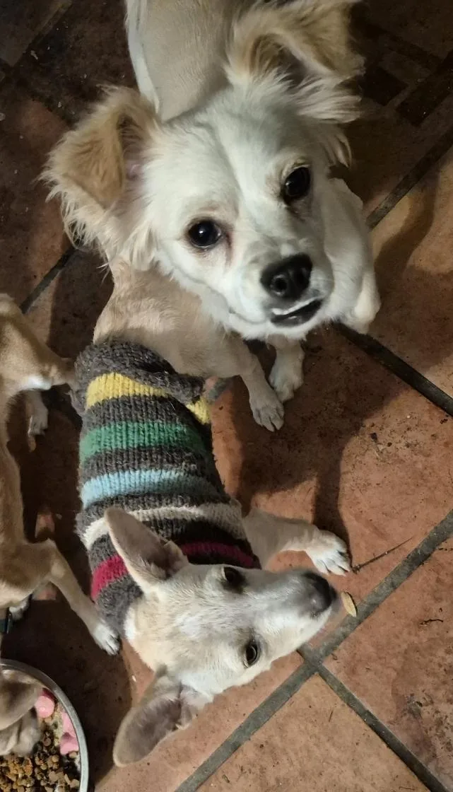 Sweet Gina! thumbnail 5