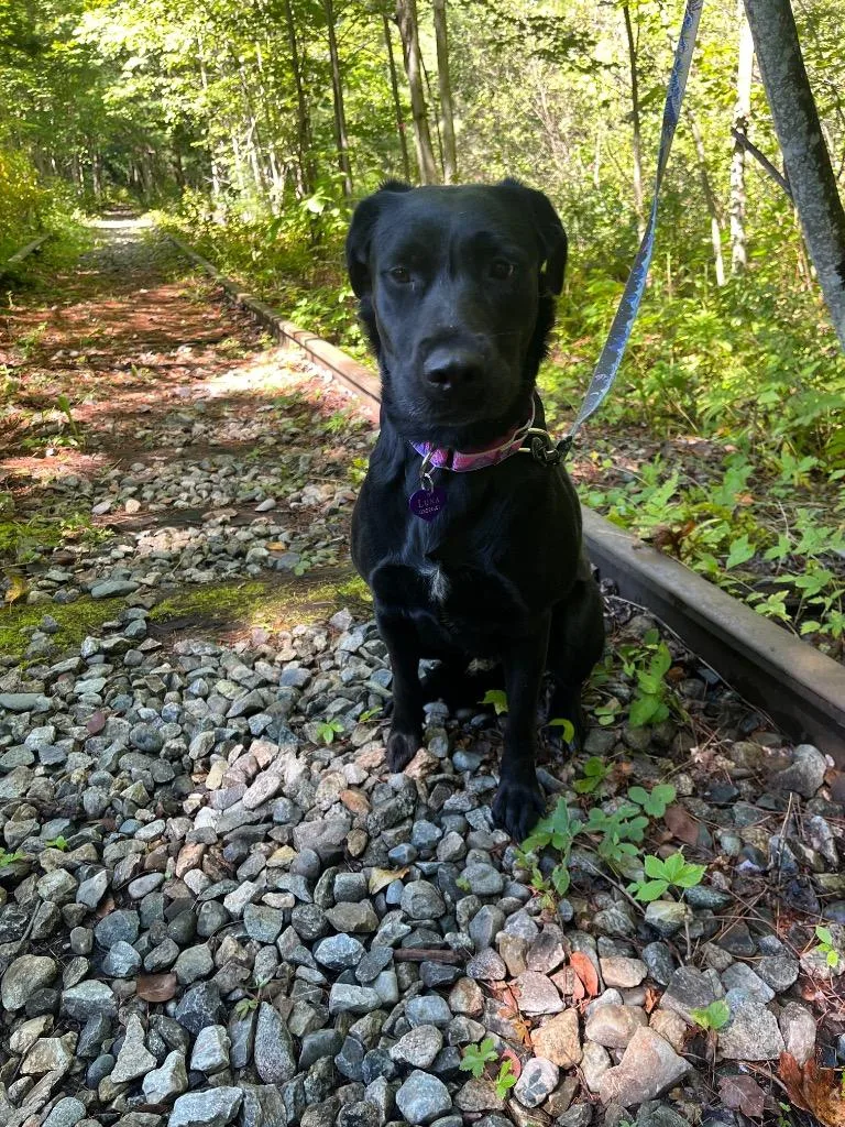 Luna