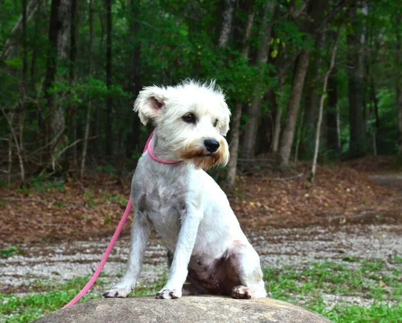 Zoey thumbnail 3