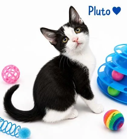 Pluto thumbnail 2