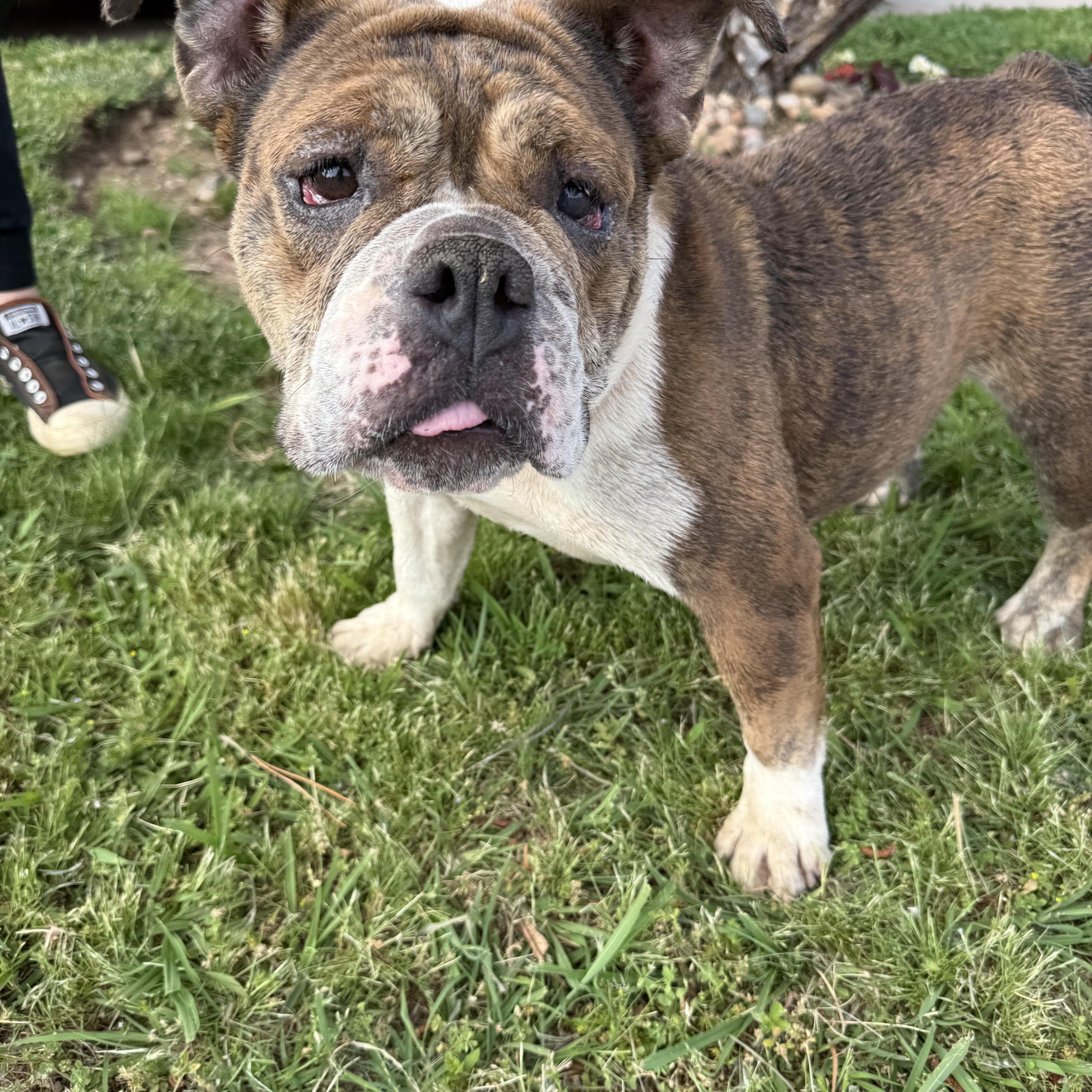 Trudy Too Sweet thumbnail 4