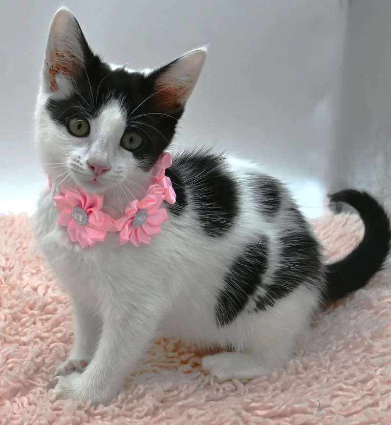 Tilly. Check Out Her thumbnail 2