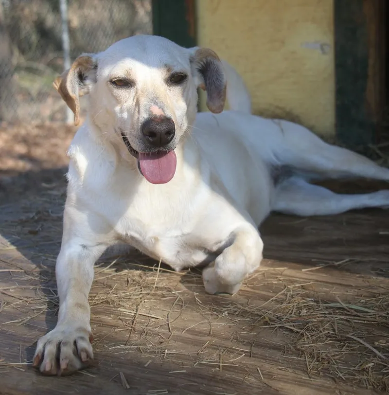 Puttie Belle thumbnail 3