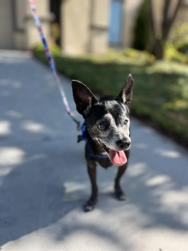 Bridgitte thumbnail 4