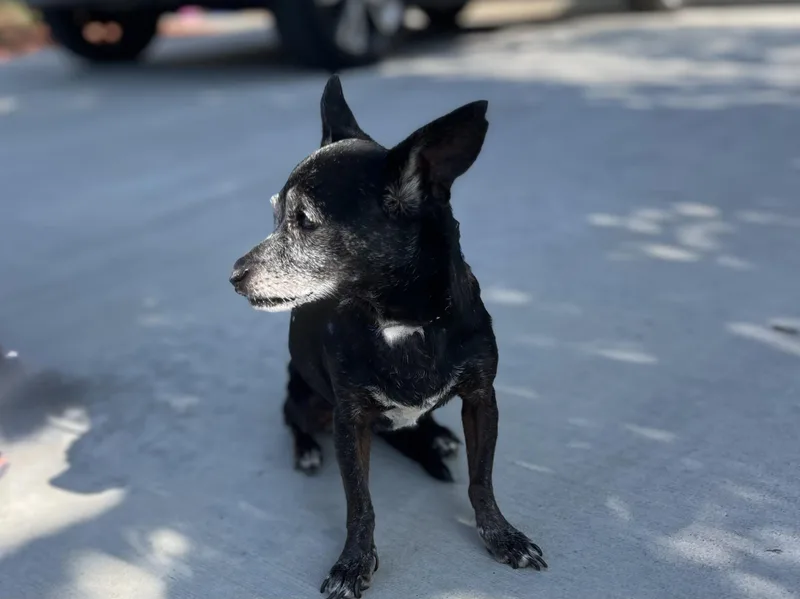 Bridgitte thumbnail 6