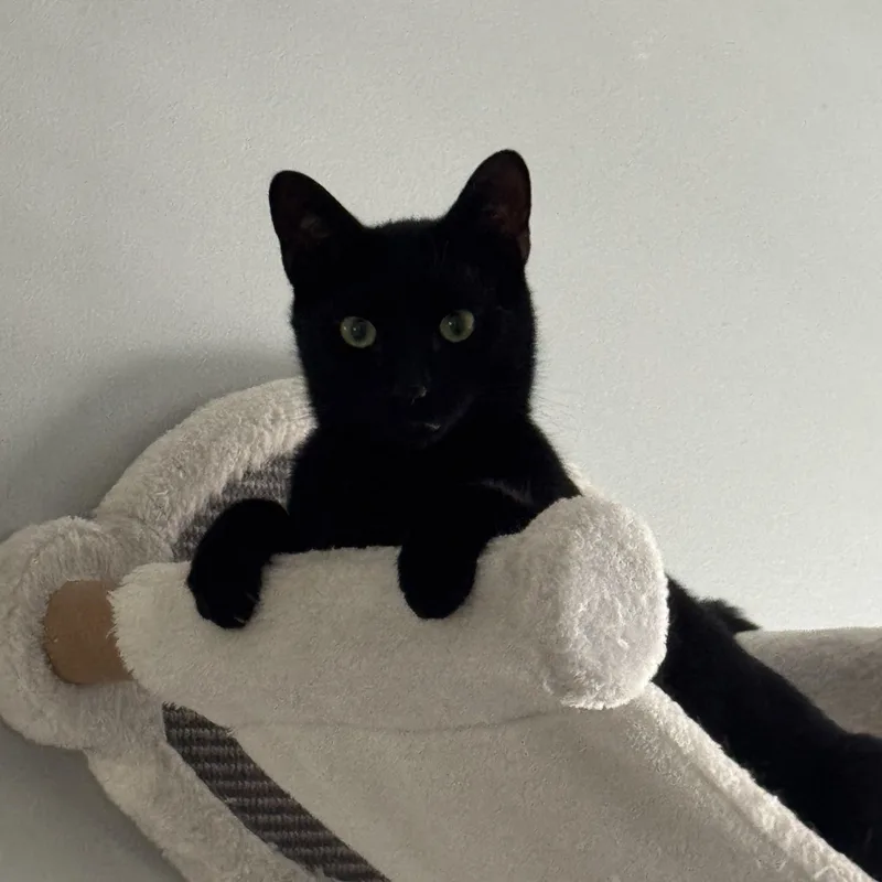 Rachel And Ross thumbnail 2