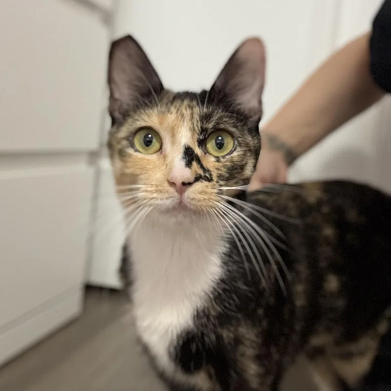 Monroe N. – Sweet thumbnail 2