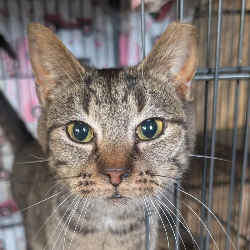 Mercury Wants To Be thumbnail 3