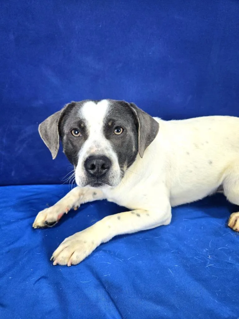 Swing Set thumbnail 5