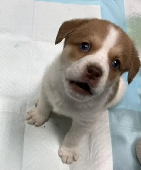 Bud sweet boy looking thumbnail 2