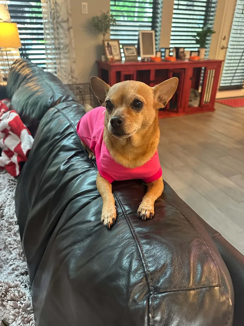 Coco thumbnail 5
