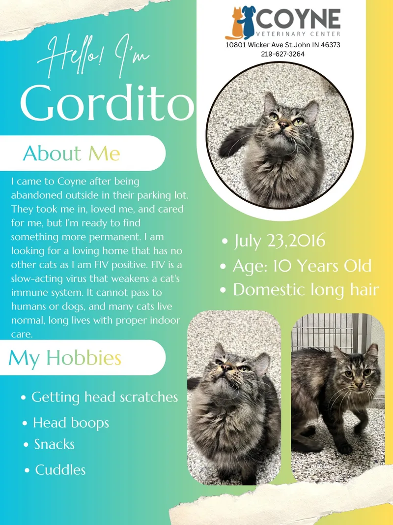 Gordito