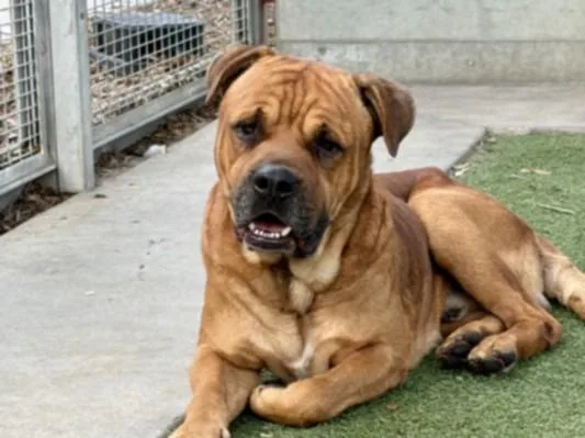 Wrinkles thumbnail 2