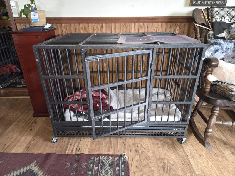 Maggie Mae  Va thumbnail 2