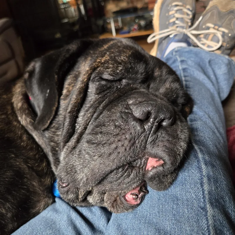 Maggie Mae  Va thumbnail 4