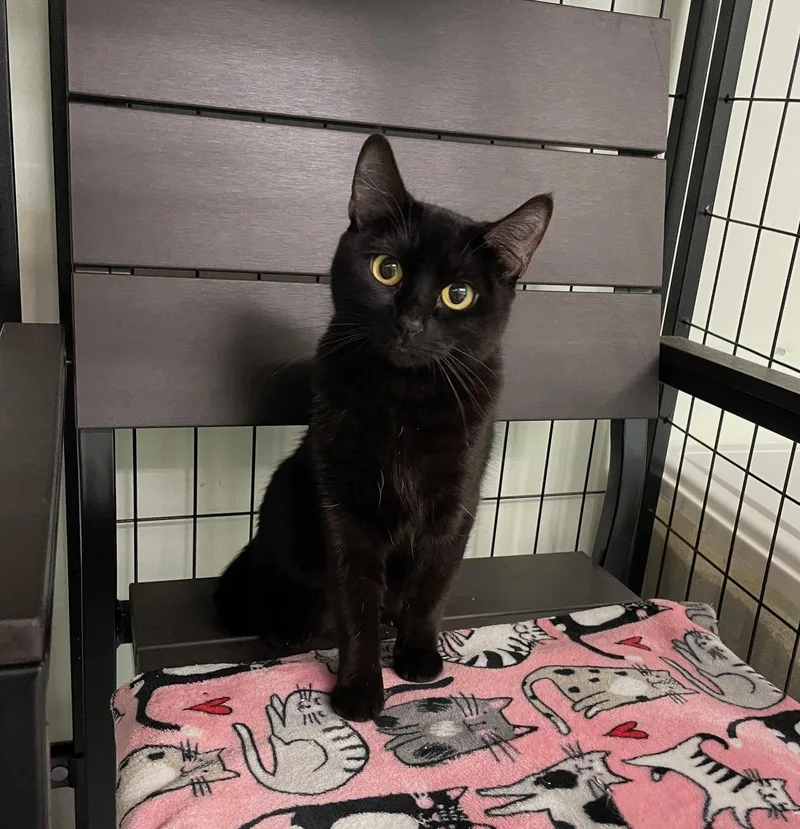 Precious thumbnail 2