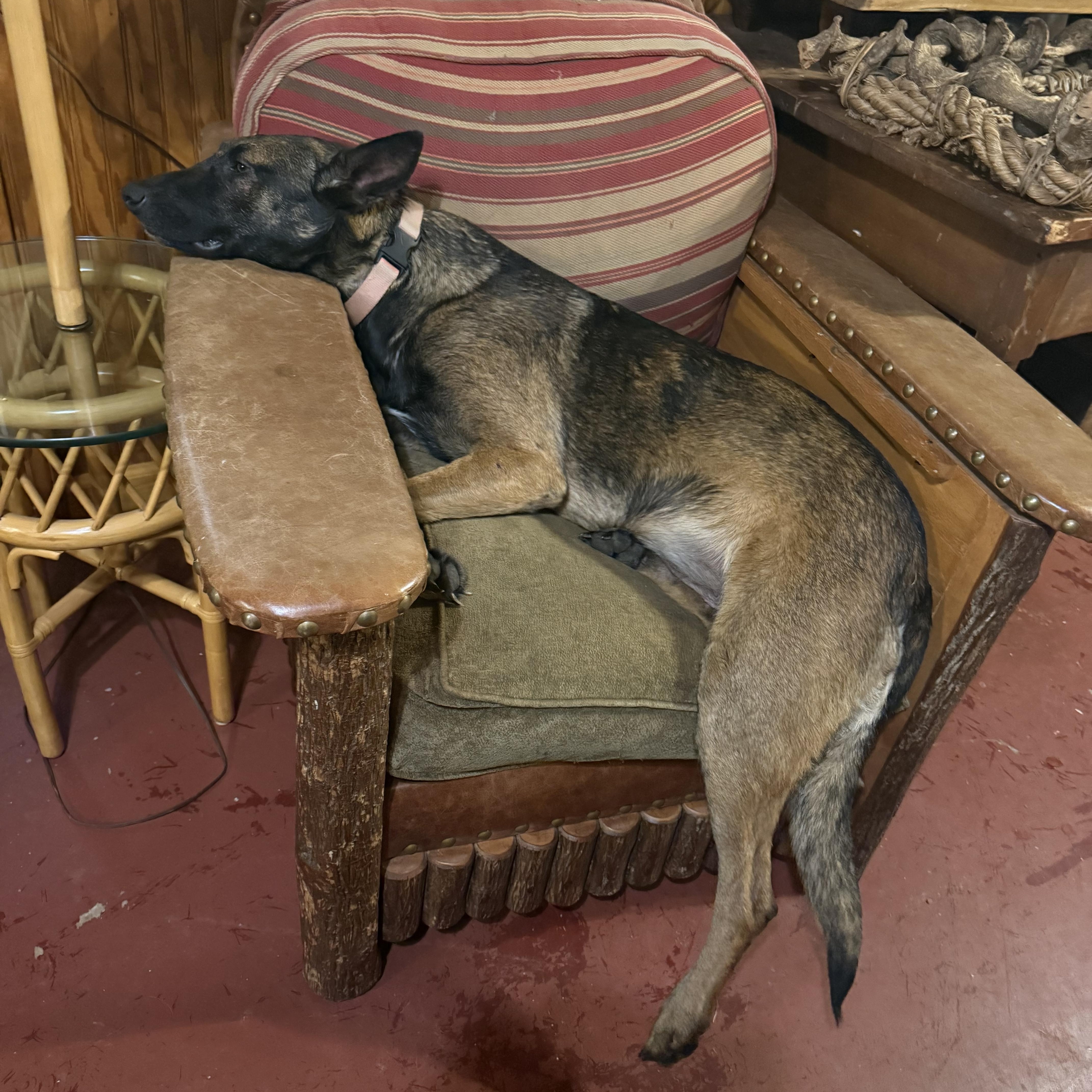 Daisy Duke thumbnail 5