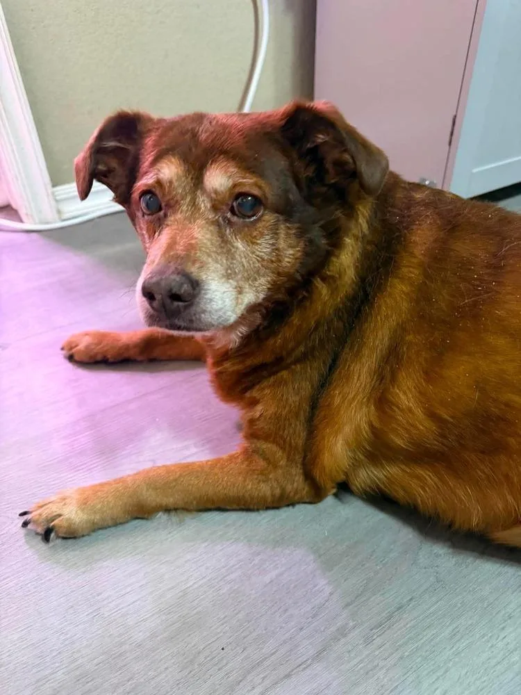 Winnie