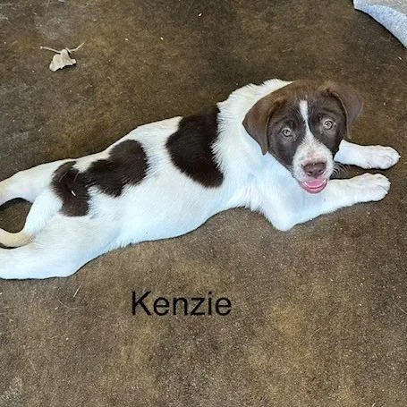 Kenzie thumbnail 3