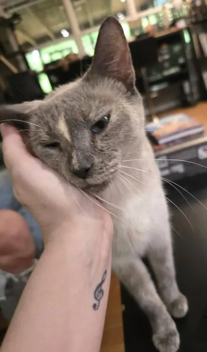 Molly thumbnail 2