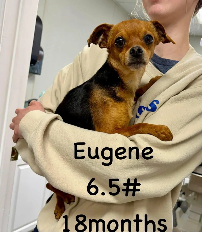 Eugene