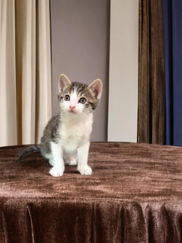 Tigger thumbnail 2