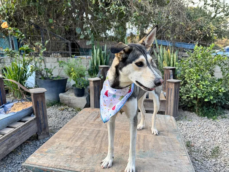 Jacinta Is Ready For thumbnail 2