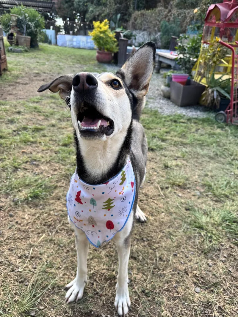 Jacinta Is Ready For thumbnail 3