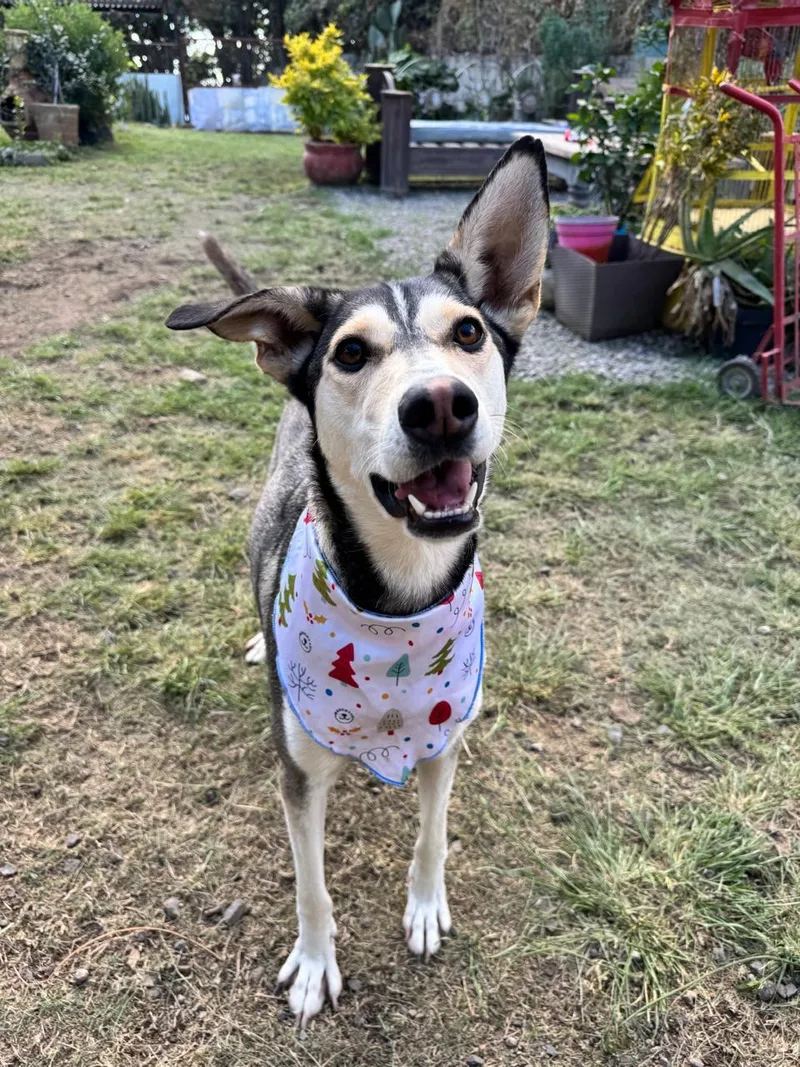 Jacinta Is Ready For