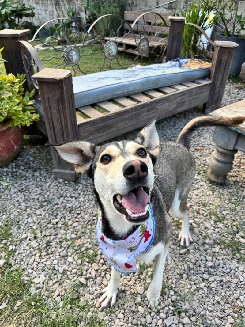 Jacinta Is Ready For thumbnail 4