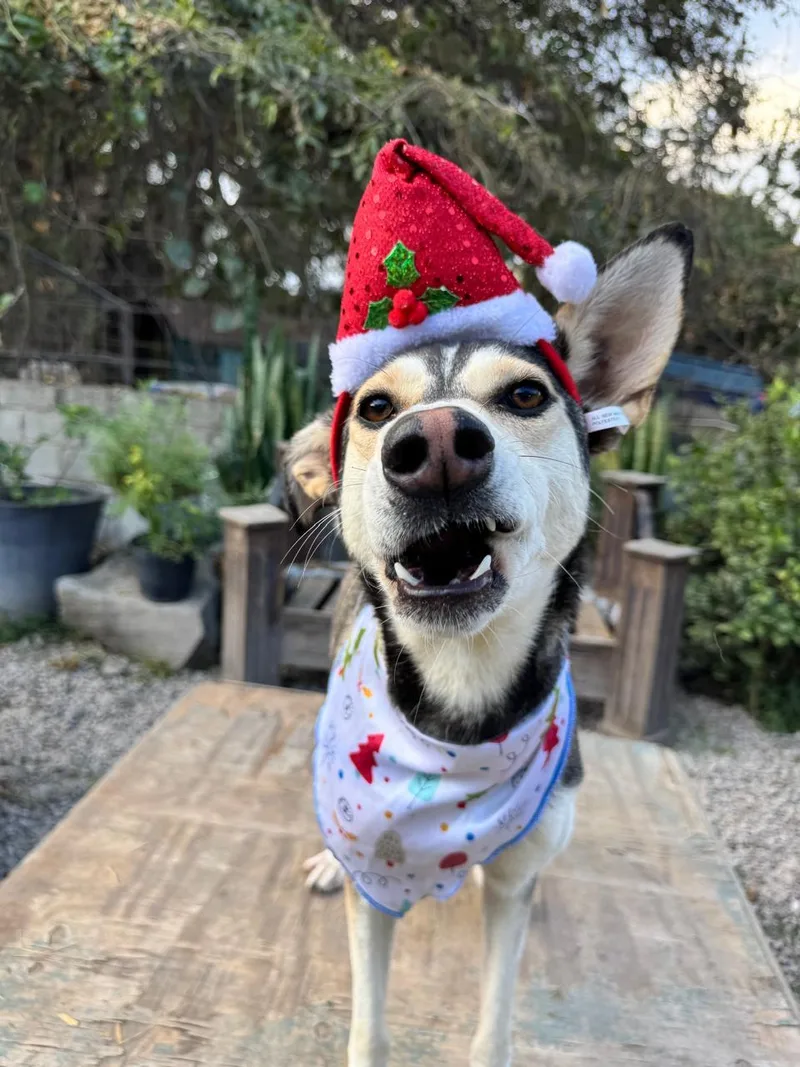 Jacinta Is Ready For thumbnail 5