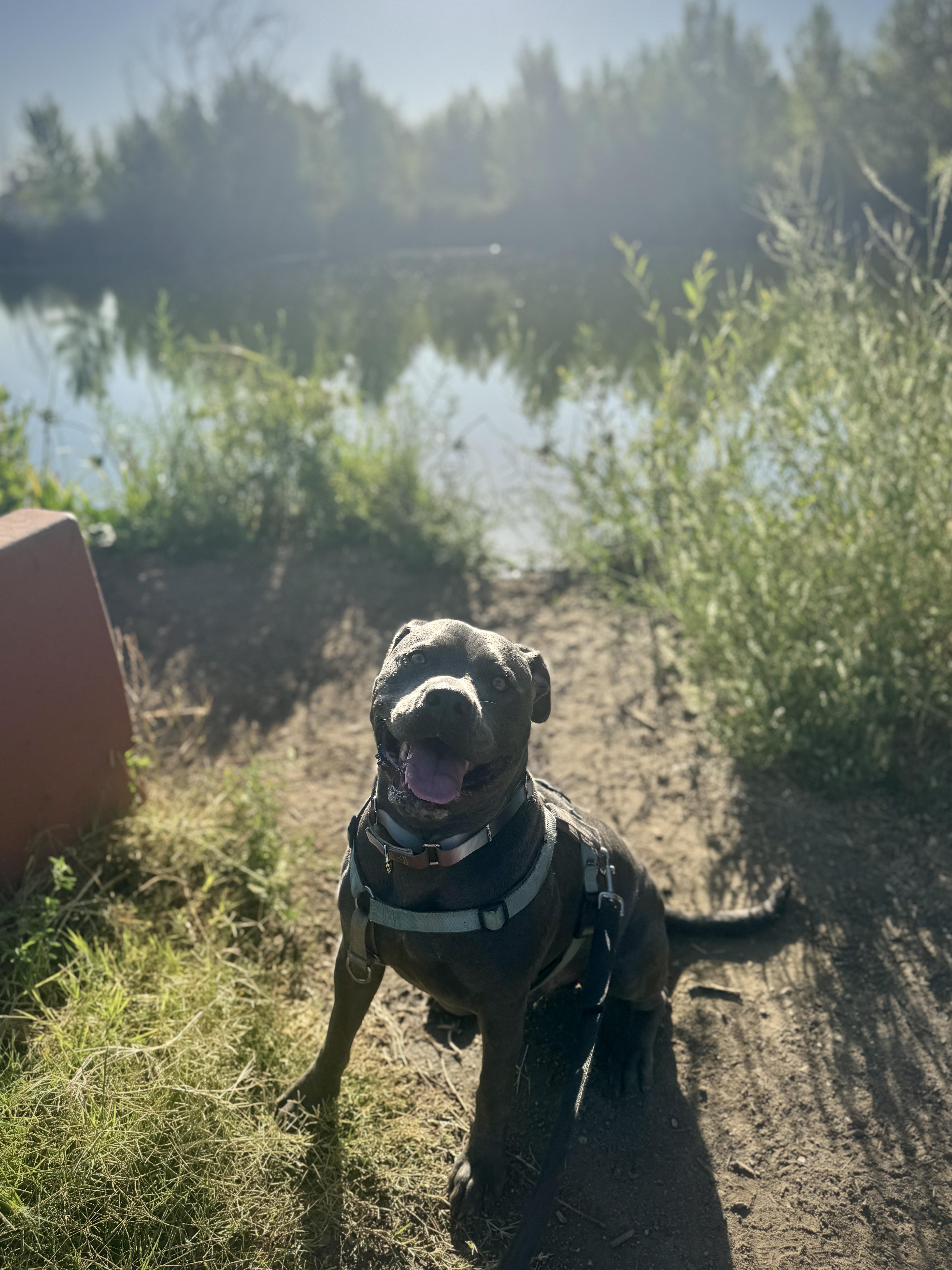 Muffinface thumbnail 5