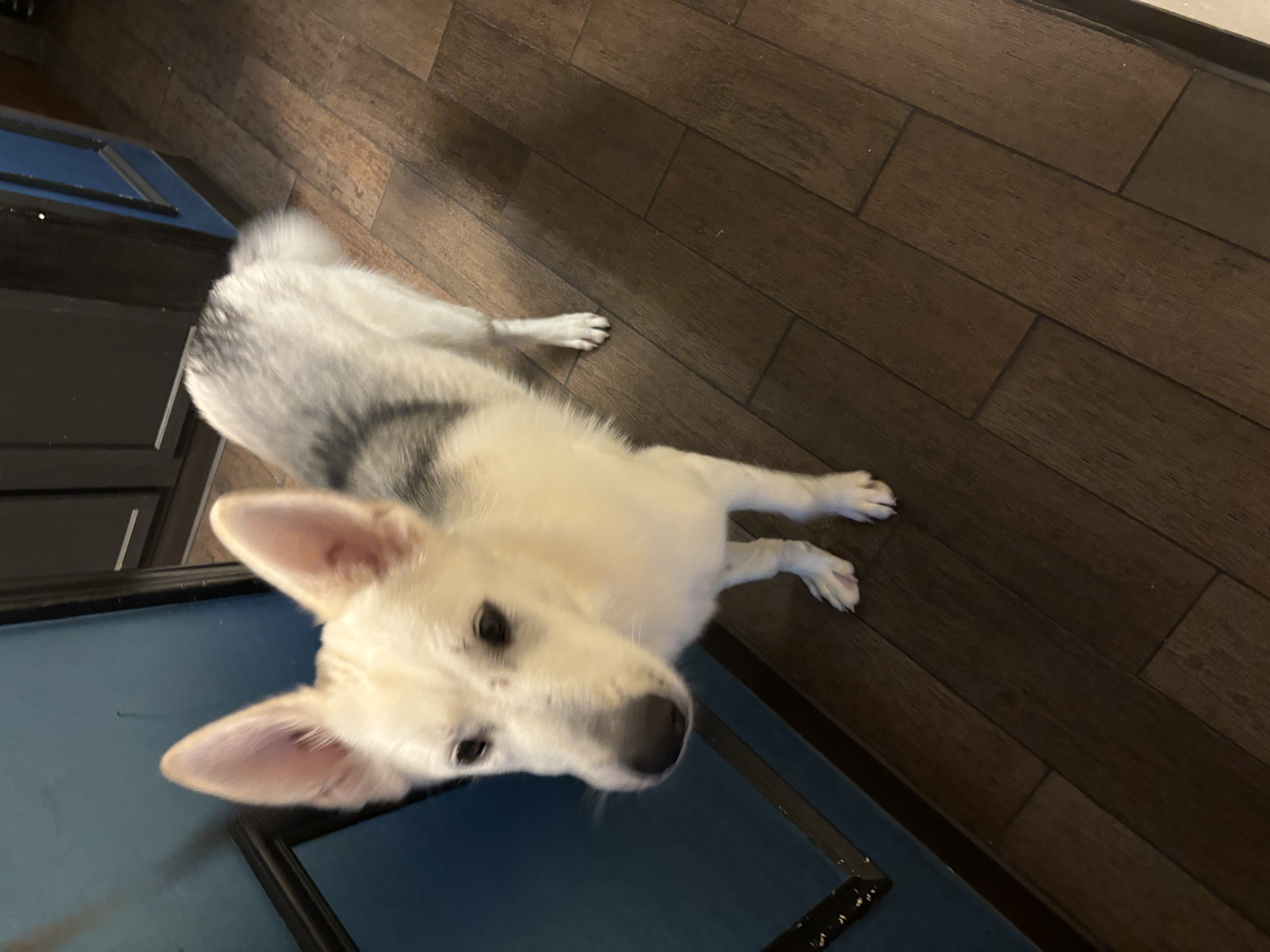 Mr Sterling thumbnail 4