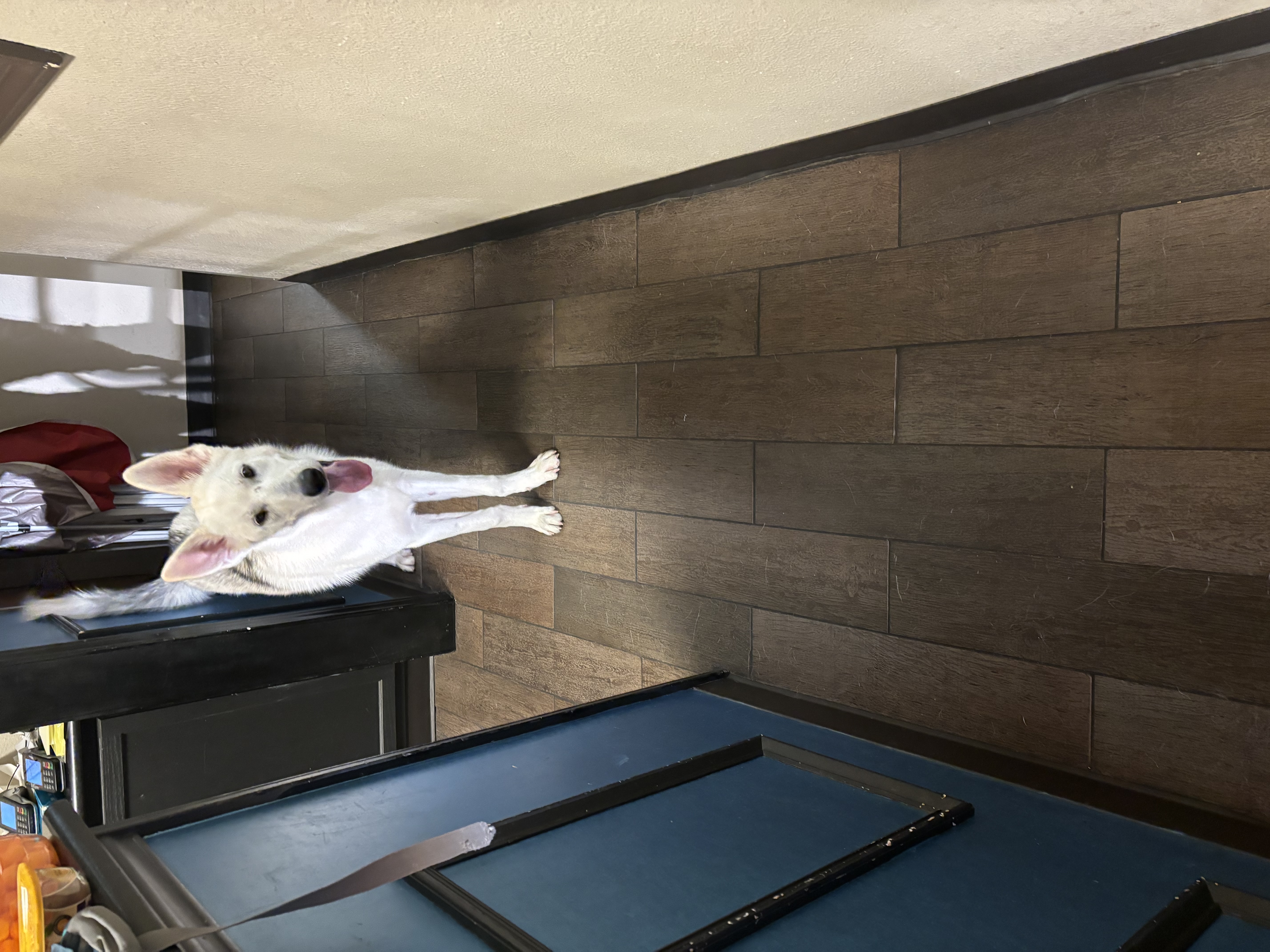 Mr Sterling thumbnail 5