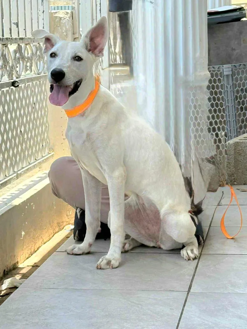 Sky Luna "my Love thumbnail 2