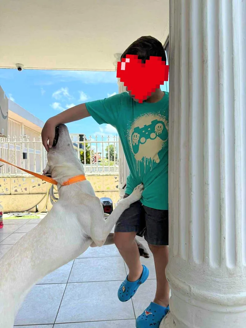 Sky Luna "my Love thumbnail 4