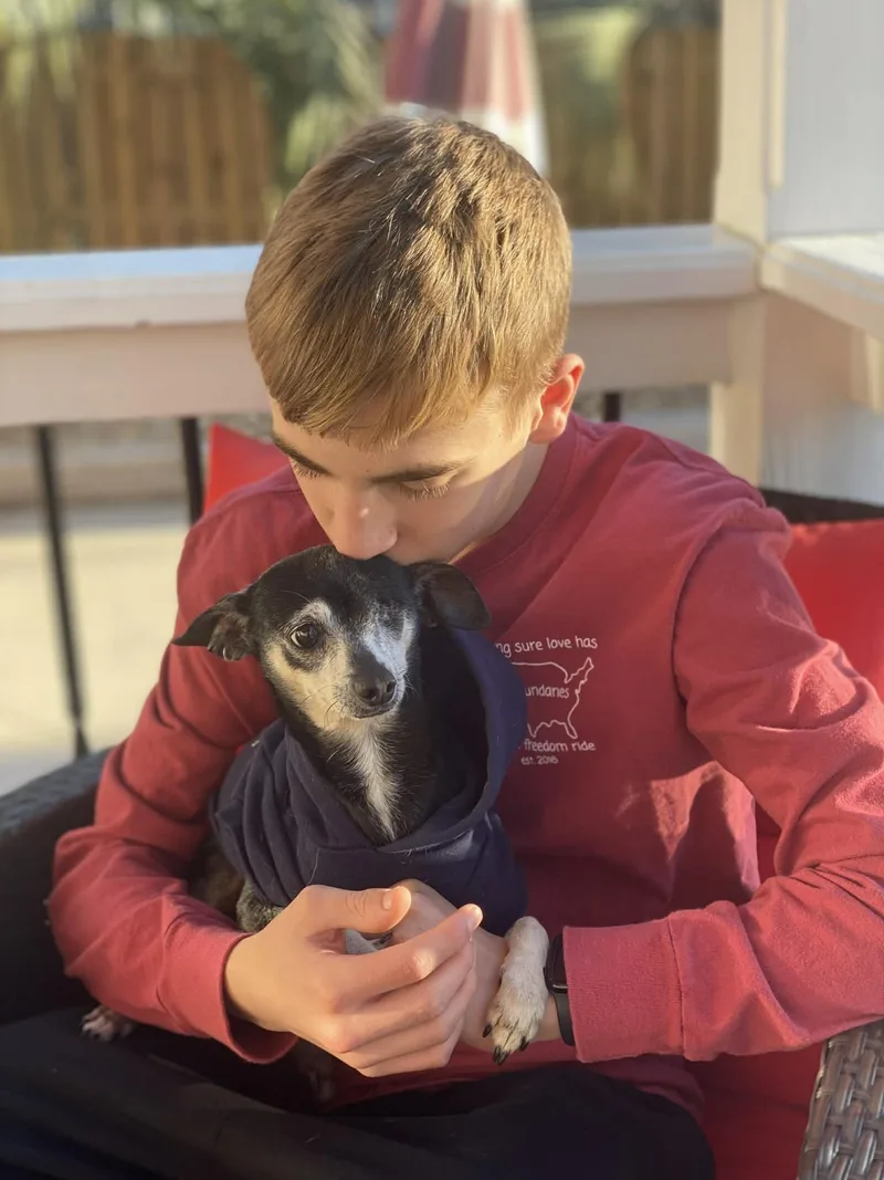 Mochi & Cricket thumbnail 3